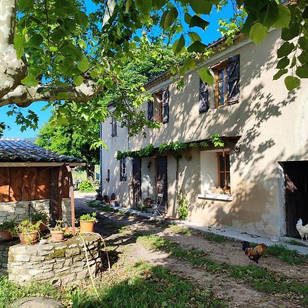 Gite Provence Luberon -Paca- Acces Pmr-Ancv Revest-des-Brousses Exterior foto