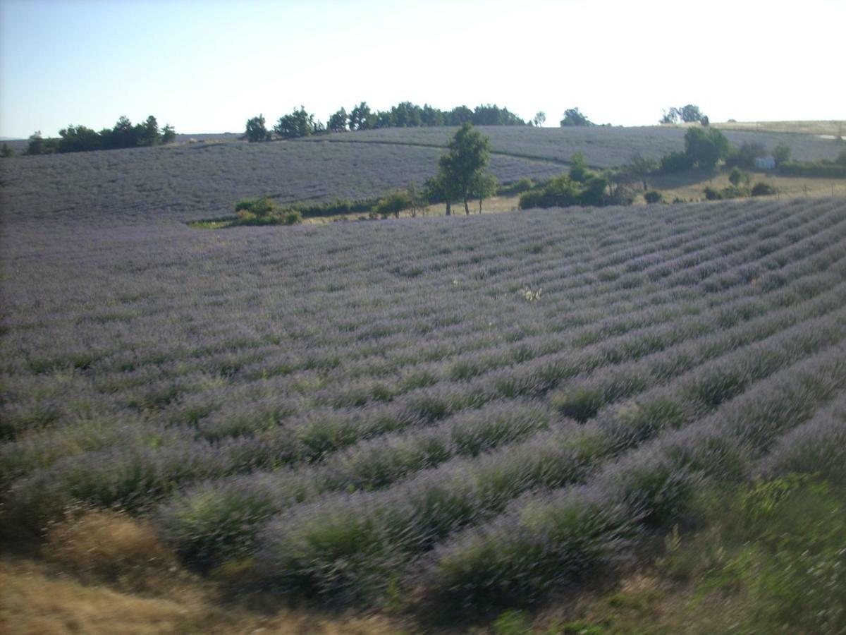 Gite Provence Luberon -Paca- Acces Pmr-Ancv Revest-des-Brousses Exterior foto